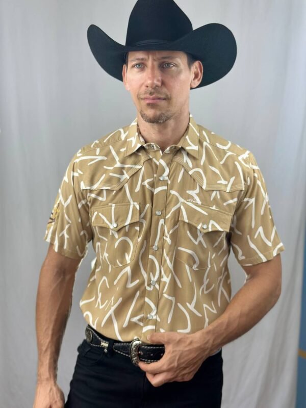 Safari