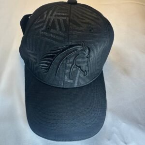 Gorra, arrendajo dril, color negro, bordado