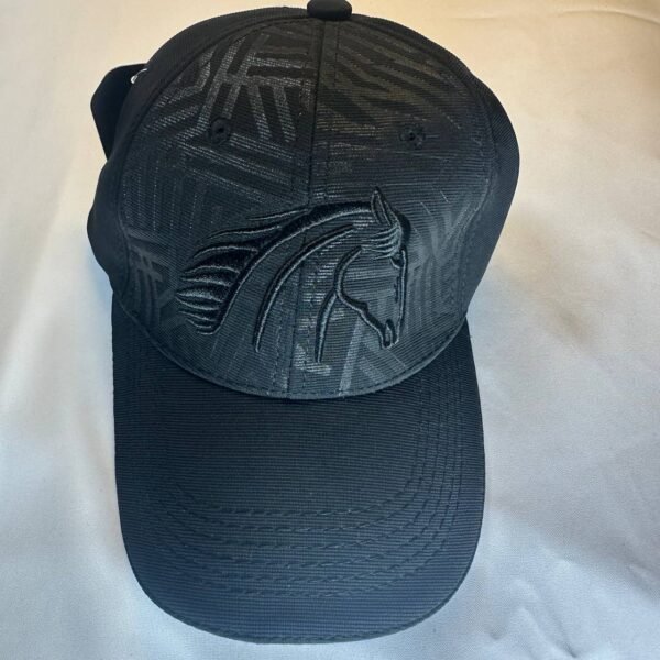 Gorra, arrendajo dril, color negro, bordado