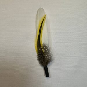 Adorno de Plumas "Rayo Gráfico"