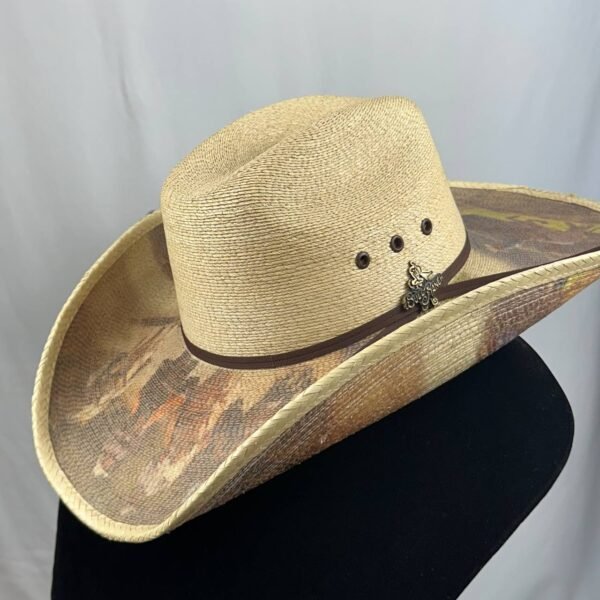 Sombrero Bull Ranch - Image 2