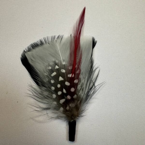 Pluma Casta de Gallo