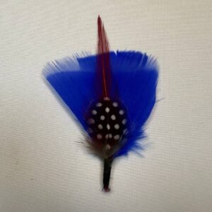 Pluma Cielo