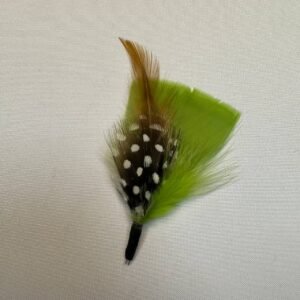 Pluma Verde Biche