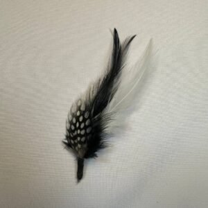 Plumas Elegancia Clásica