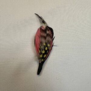 Pluma Fuego Vaquero