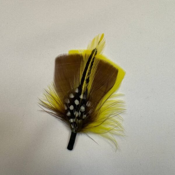Pluma Sol Llanero
