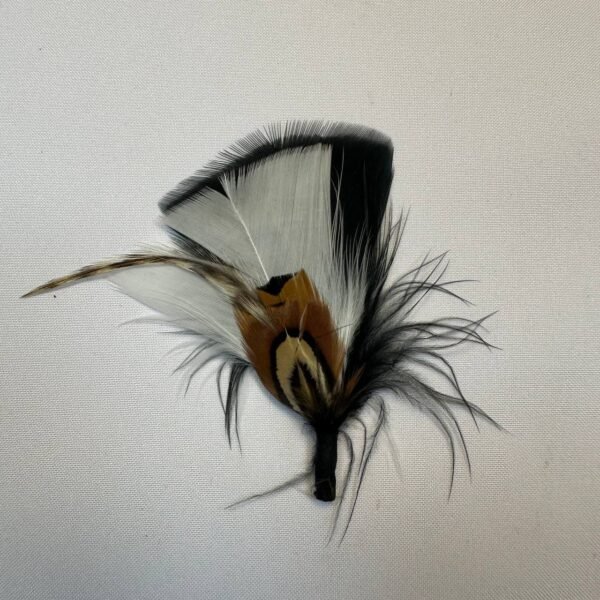Pluma Gala de Faisán